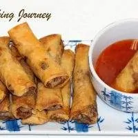 Vegetable and Tofu Spring Rolls