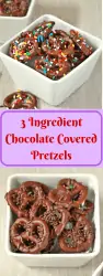 chocolate covered pretzel