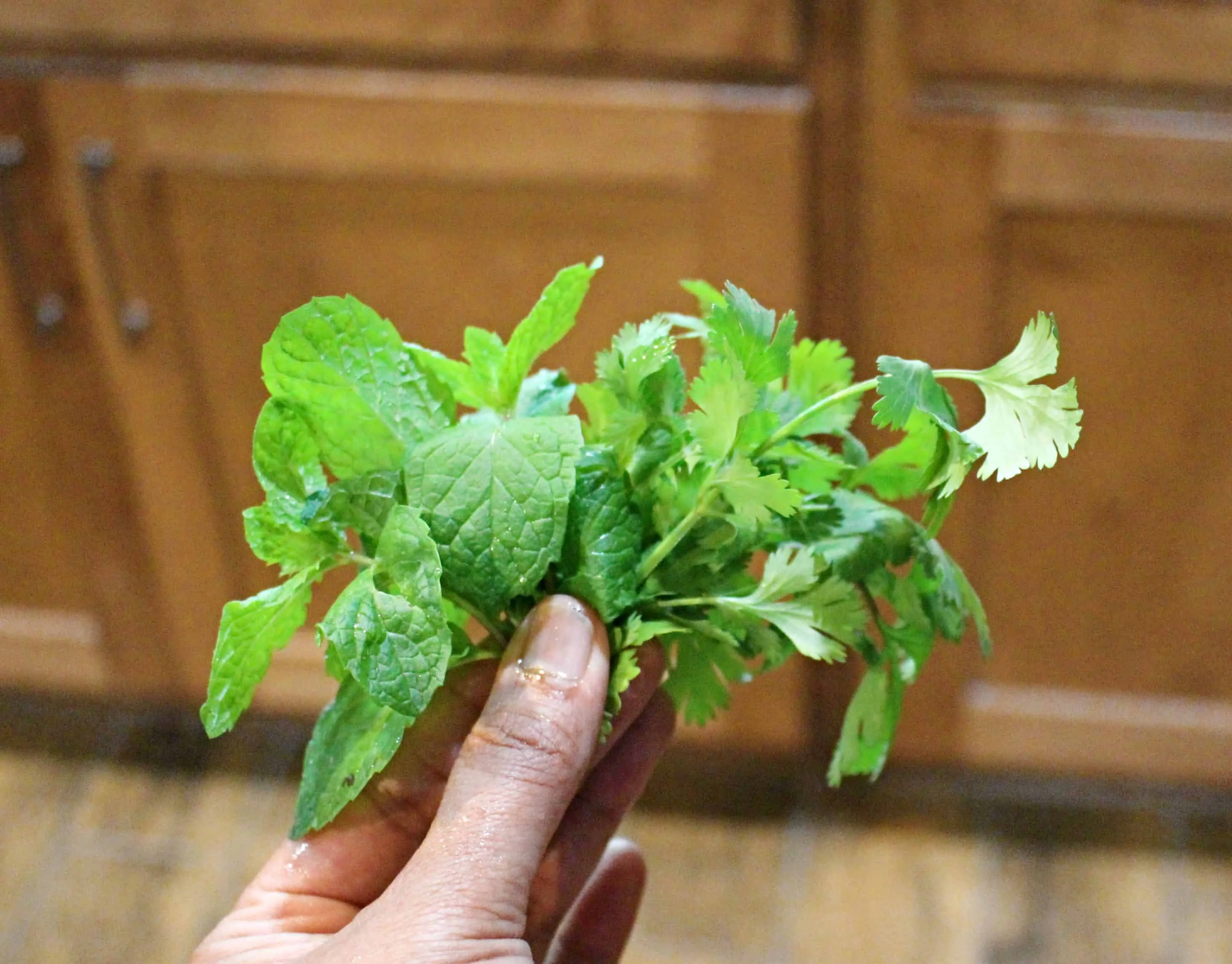 Fresh coriander and mint.