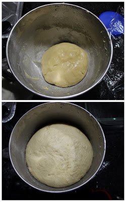 Dough rising in a bowl.