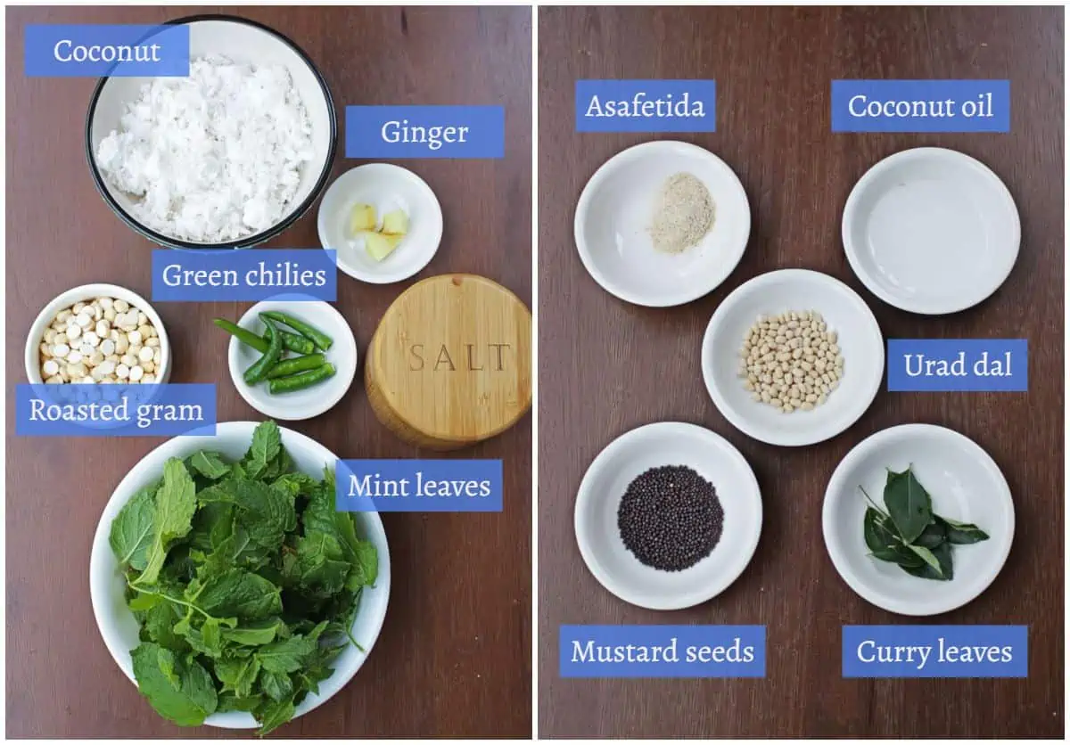 ingredients needed to make coconut mint chutney