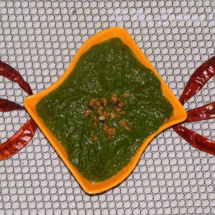 Kothamalli thuvayal in a bowl with chillis on the side for decoration - Featured Image.